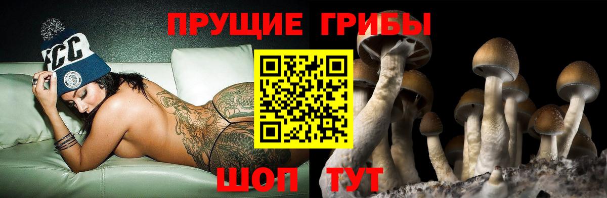 Югорск  Галлюциногенные грибы GOLDEN TEACHER  купить наркоту  Вход с VPN 